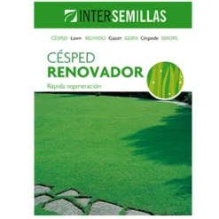 Semillas De Cesped Renovador Caja 1 Kg.