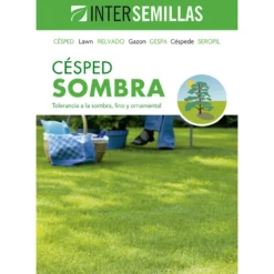 Semillas De Cesped Sombra Caja De 1 Kg.
