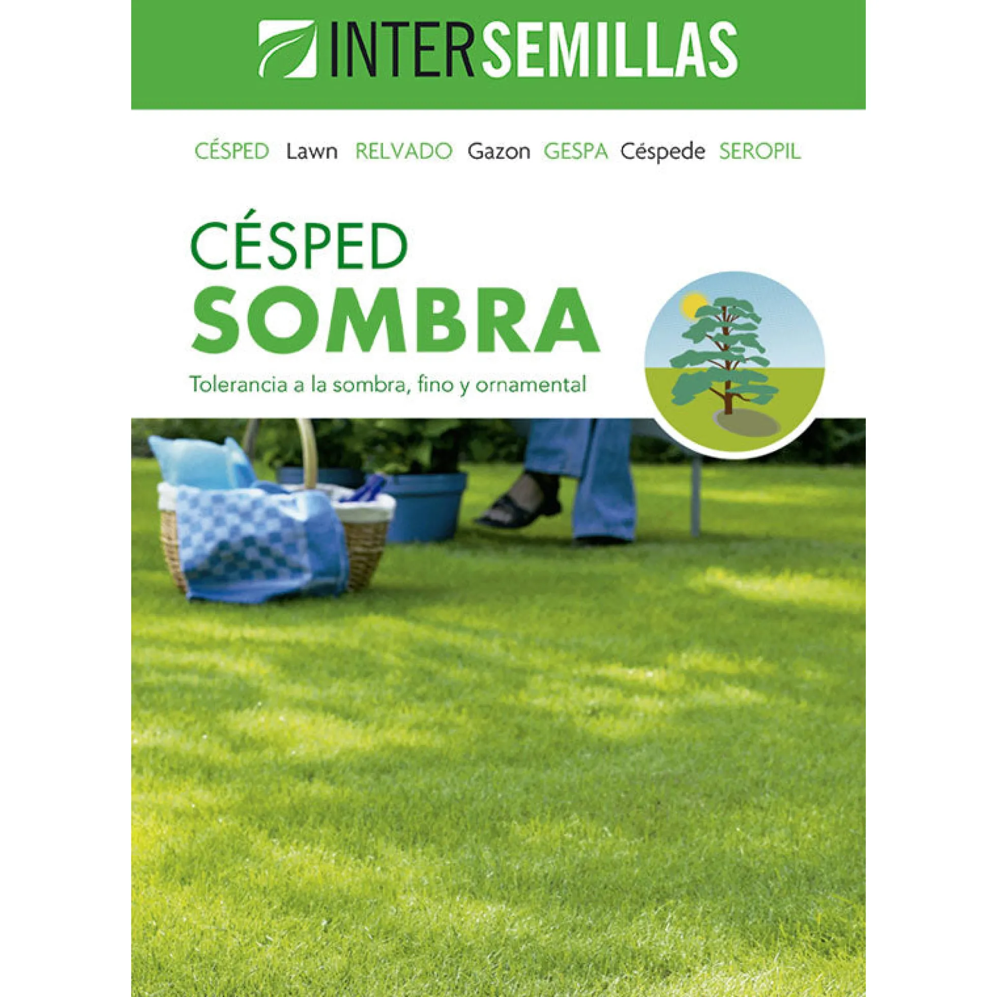 Semillas De Cesped Sombra Caja De 1 Kg.