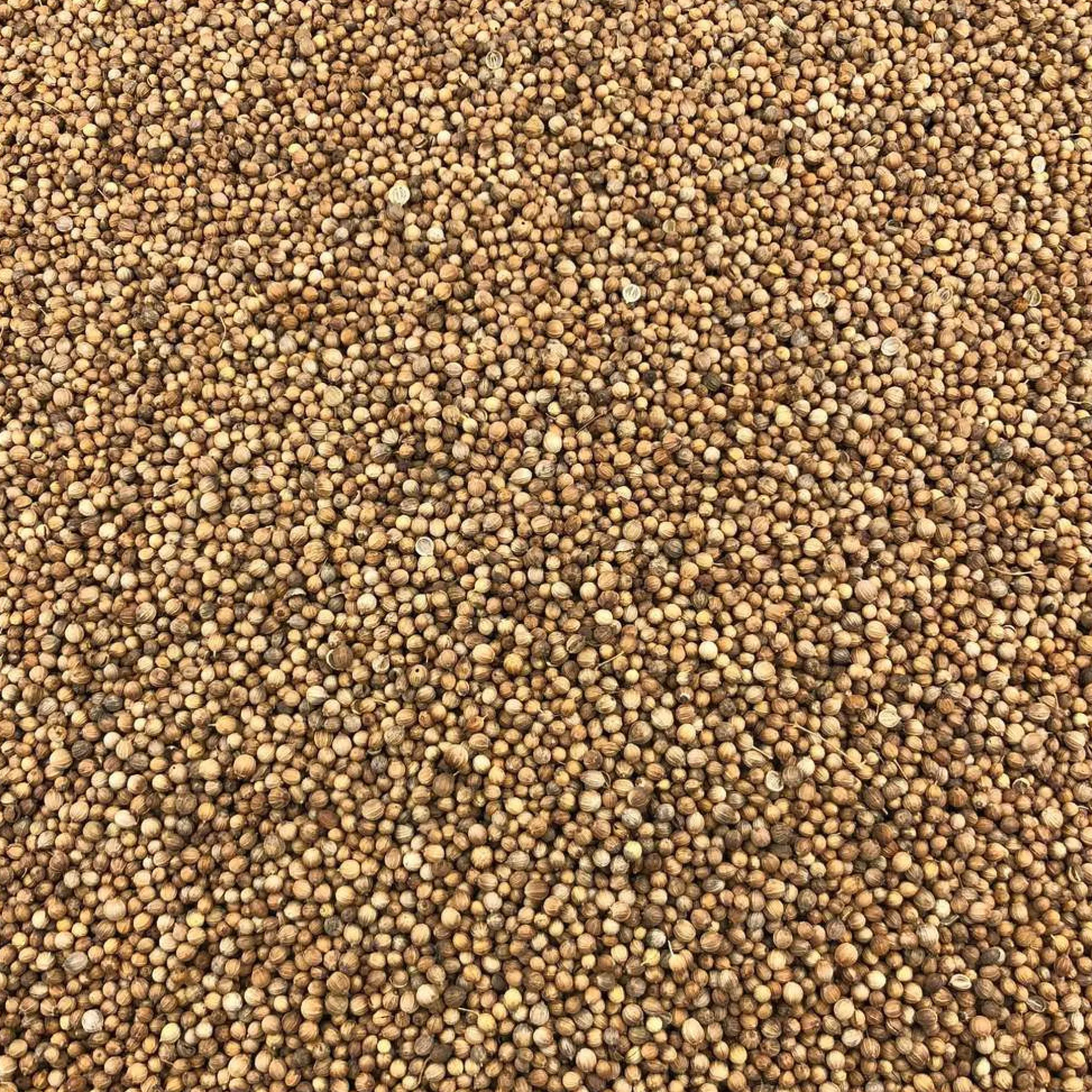 Semillas De Cilantro Bio Granel 0,5 Kg