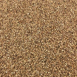 Semillas De Cilantro Bio Granel 0,25 Kg