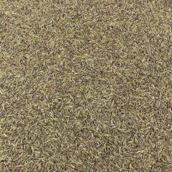 Semillas De Comino Bio Granel Bio Granel 0,25 Kg
