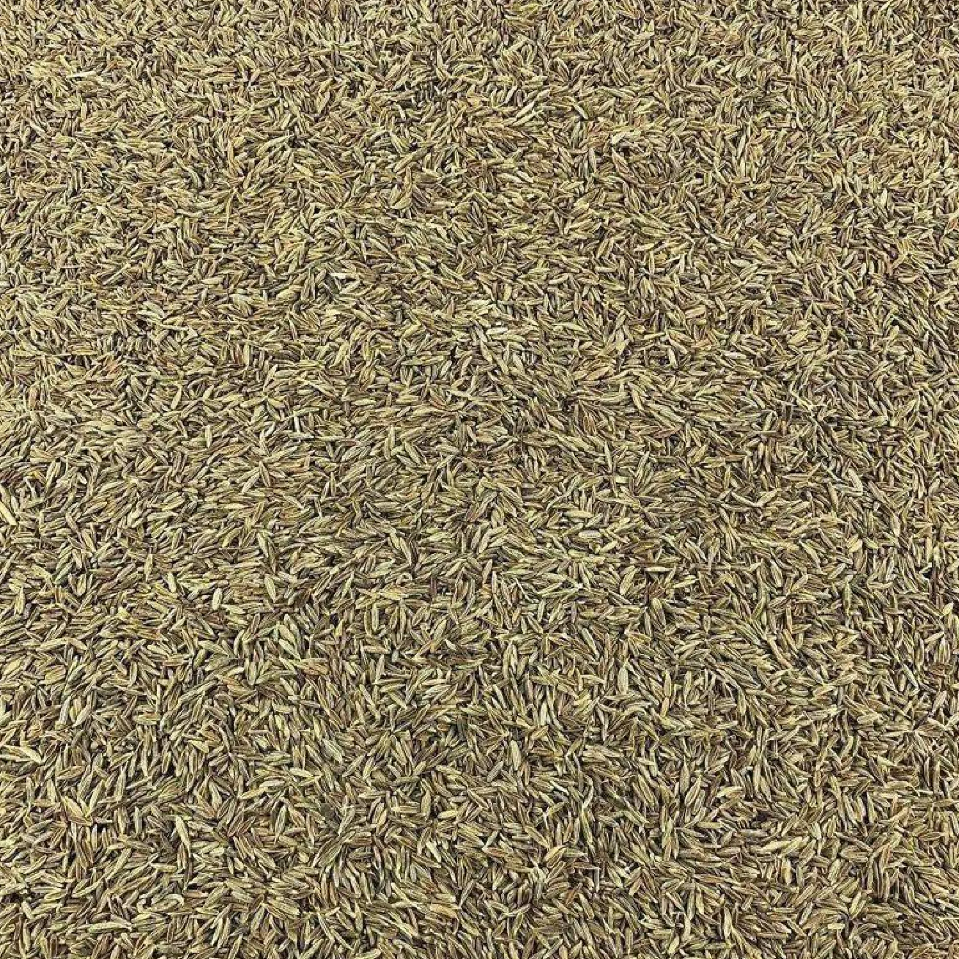 Semillas De Comino Bio Granel 0,5 Kg