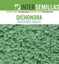 Semillas De Dichondra Repens Caja De 250g.