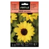 Semillas de Girasol enano amarillo Batlle