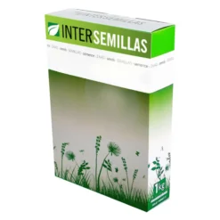 Semillas De Hedysarium Coronarium Caja De 1 Kg.