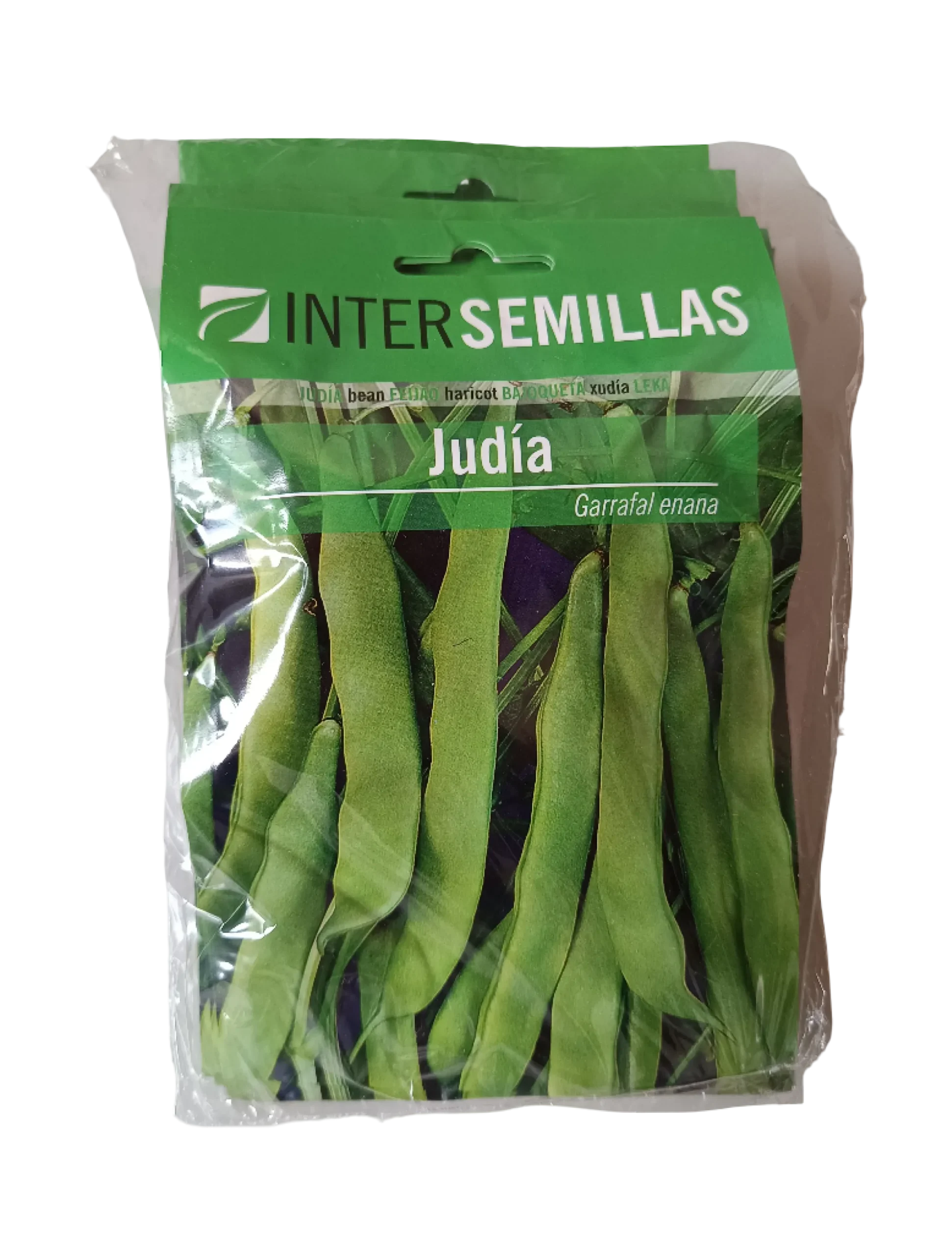 Semillas De Judia Garrafal Enana