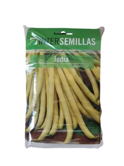 Semillas De Judia Roquencourt