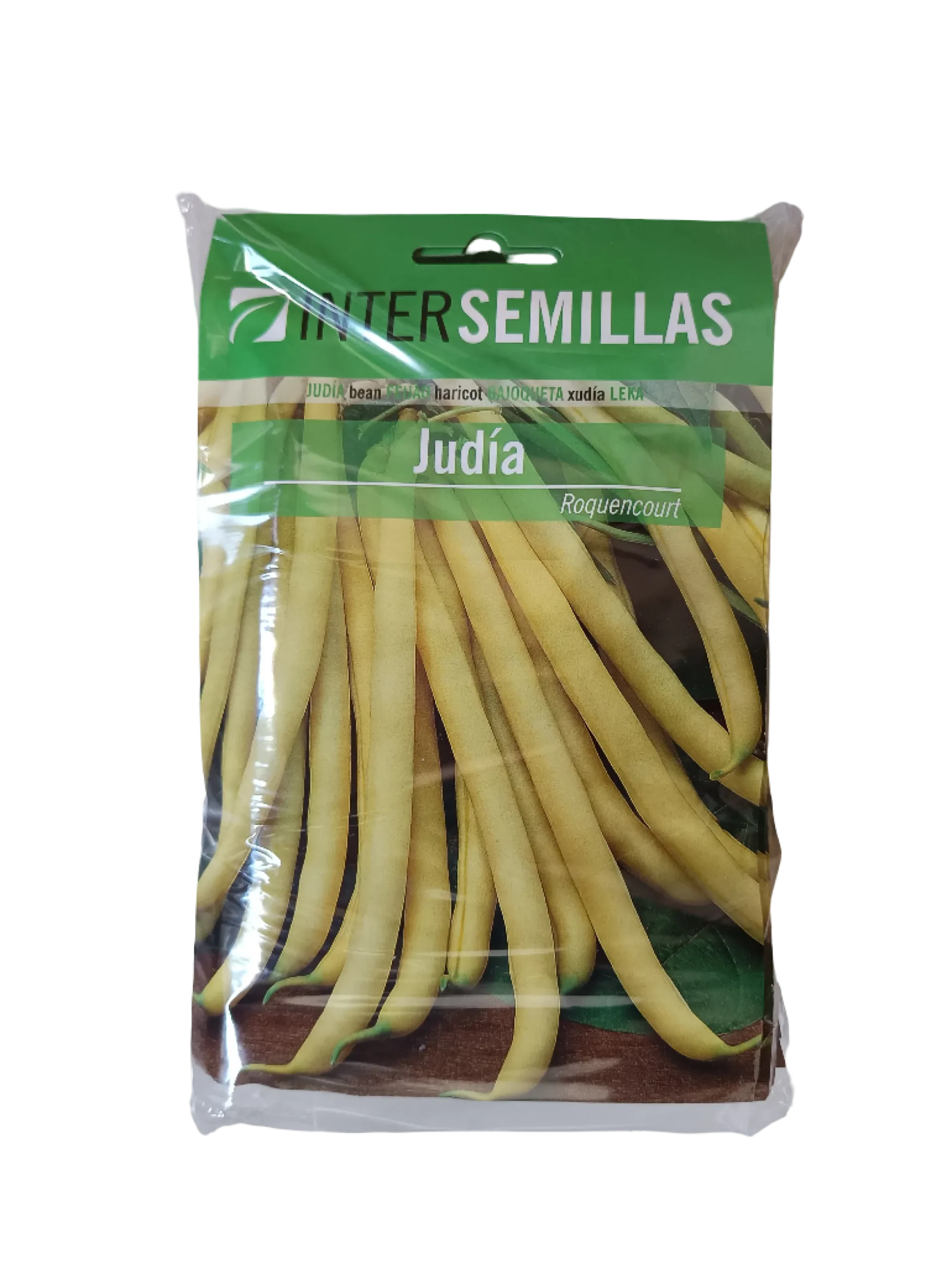 Semillas De Judia Roquencourt