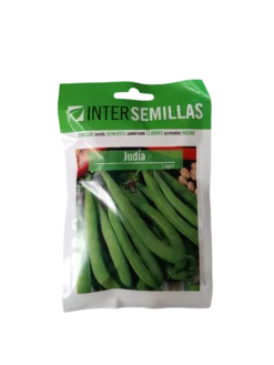 Semillas De Judia Variedad Lingot 100 Gr.