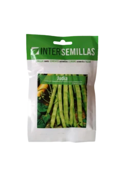 Semillas De Judia Variedad Phenomeen 100 Gr.