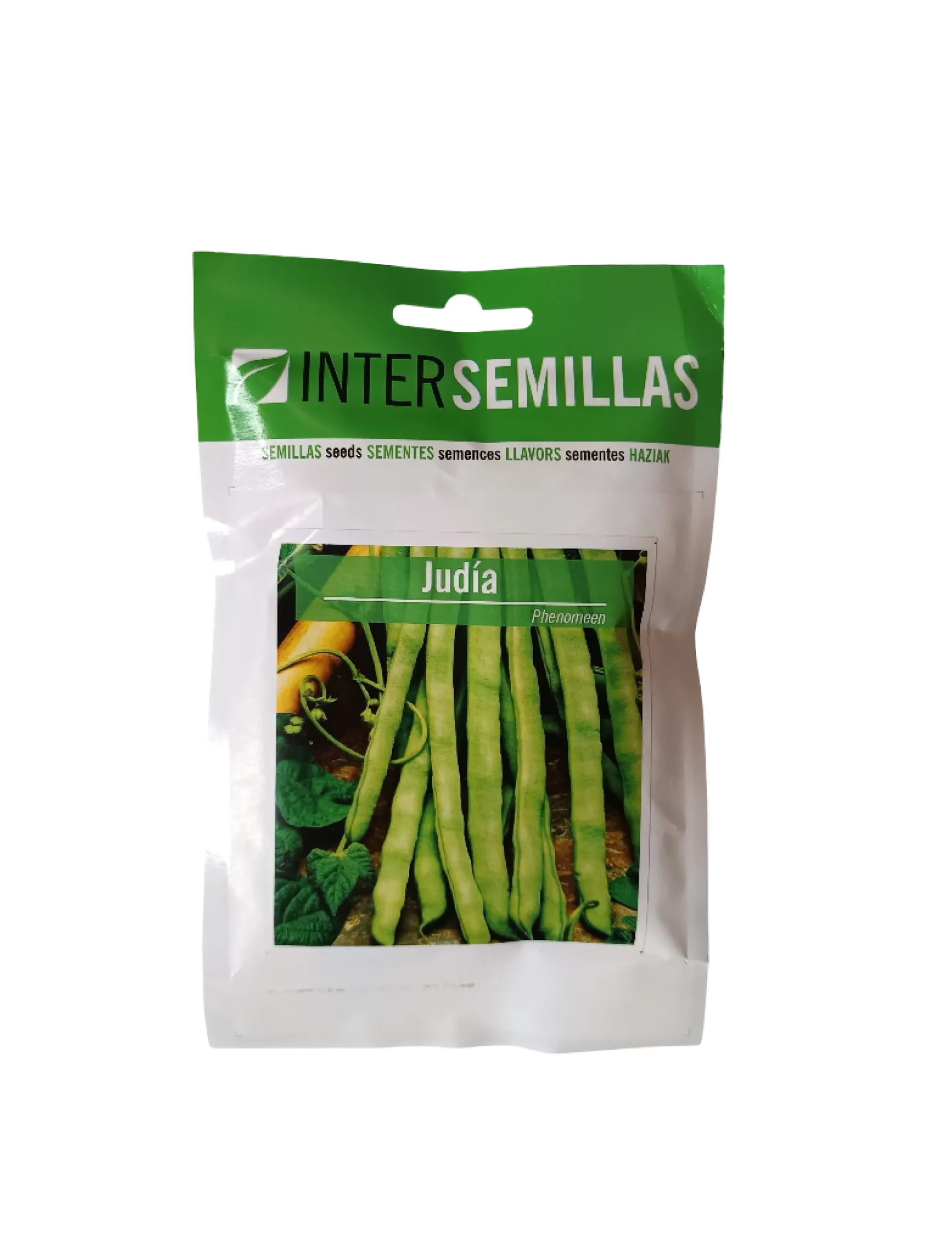 Semillas De Judia Variedad Phenomeen 100 Gr.