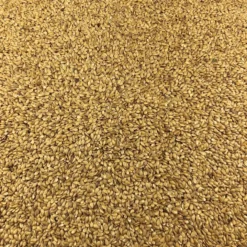 Semillas De Lino Dorado Bio Granel 10 Kg