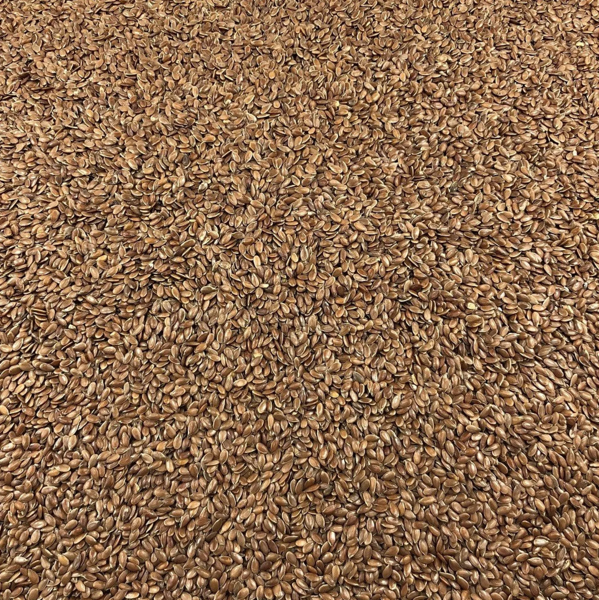 Semillas De Lino Marrón Bio Granel 5 Kg