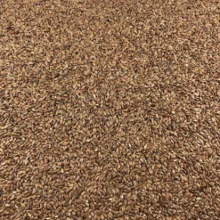 Semillas De Lino Marrón Bio Granel 25 Kg