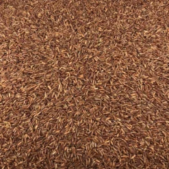 Semillas De Mostaza Negra Bio Granel 10 Kg
