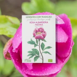 Semillas De Rosa Albardera Ecológicas