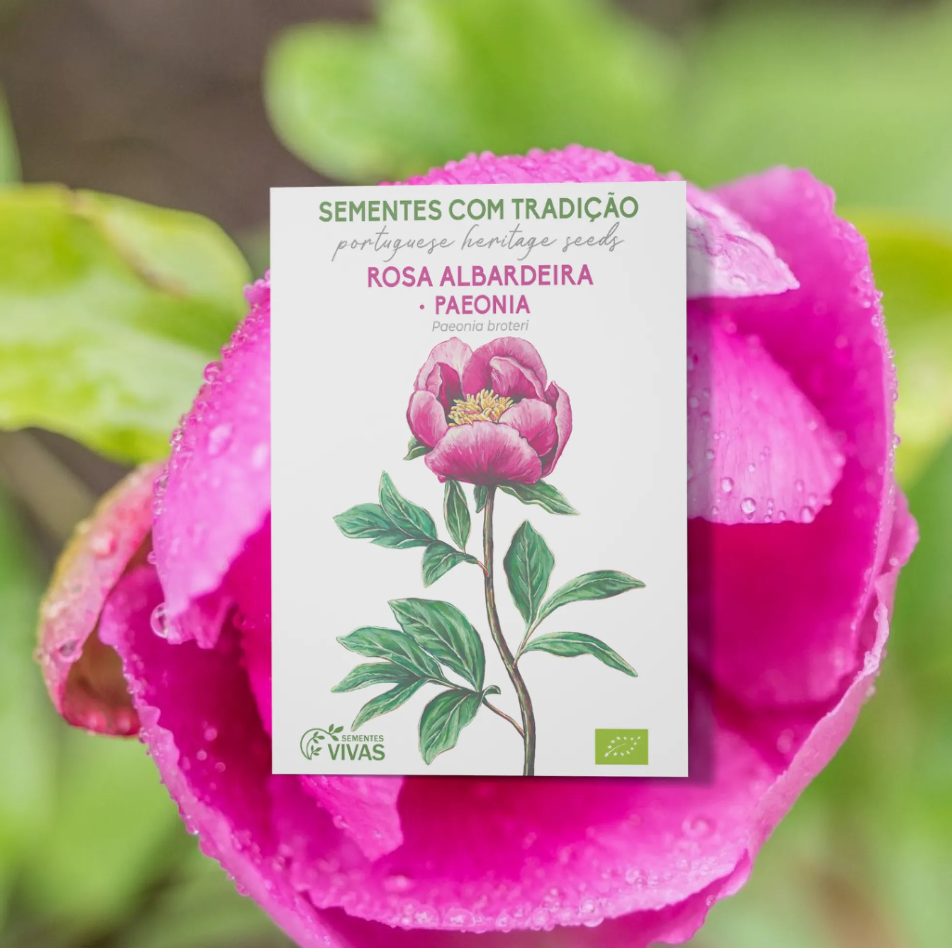 Semillas De Rosa Albardera Ecológicas