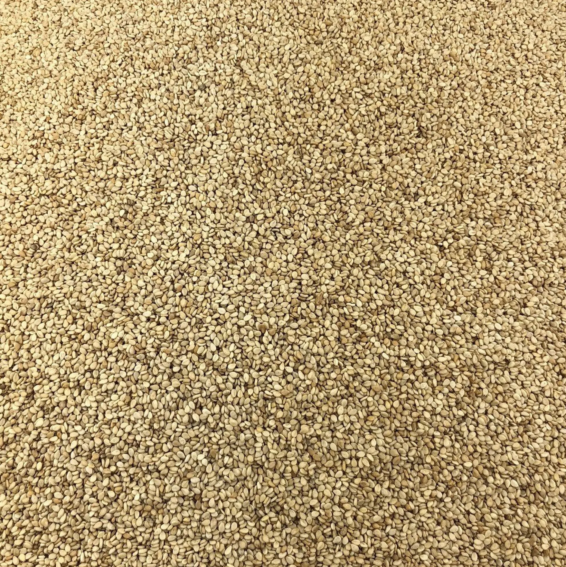 Semillas De Sésamo Bio Granel 0,25 Kg