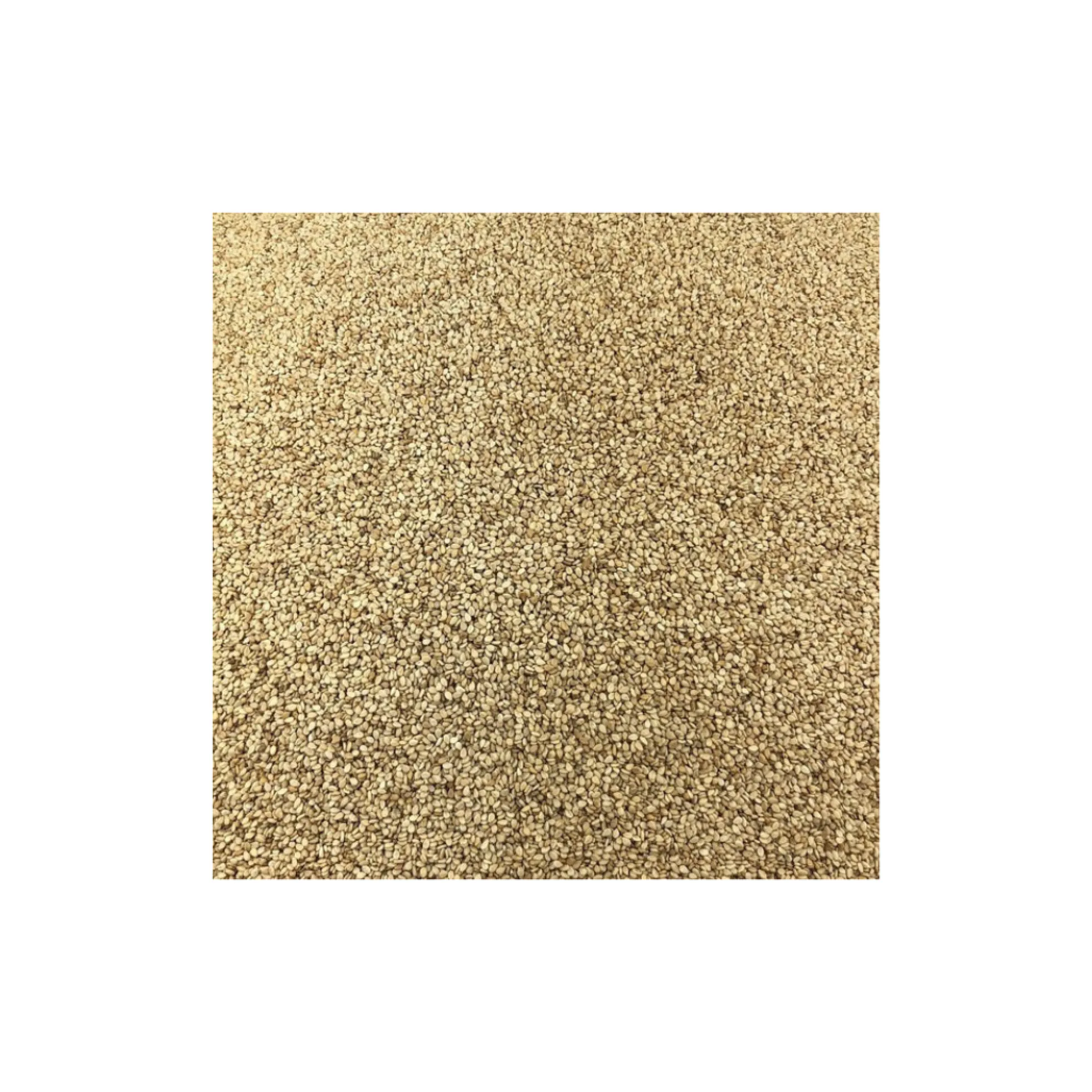 Semillas De Sésamo Bio Granel 25 Kg