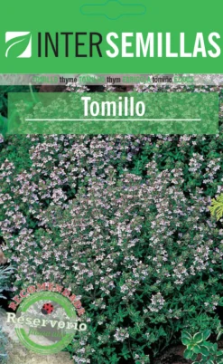 Semillas De Tomillo Sobre Planta Aromatica