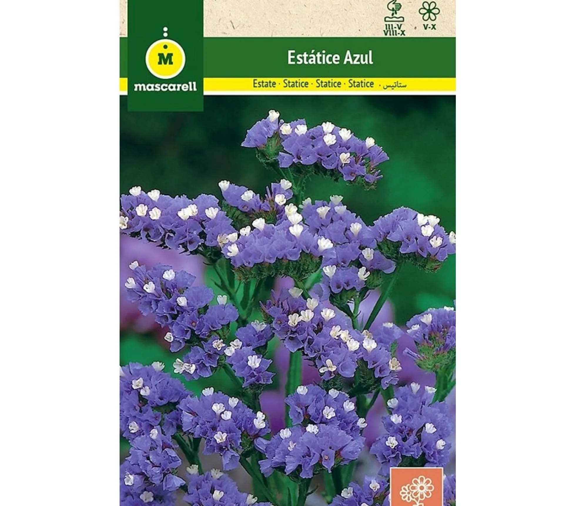 Semillas Estatice Sinuata Azul