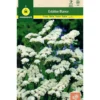 Semillas Estatice Sinuata Blanco