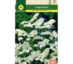 Semillas Estatice Sinuata Blanco