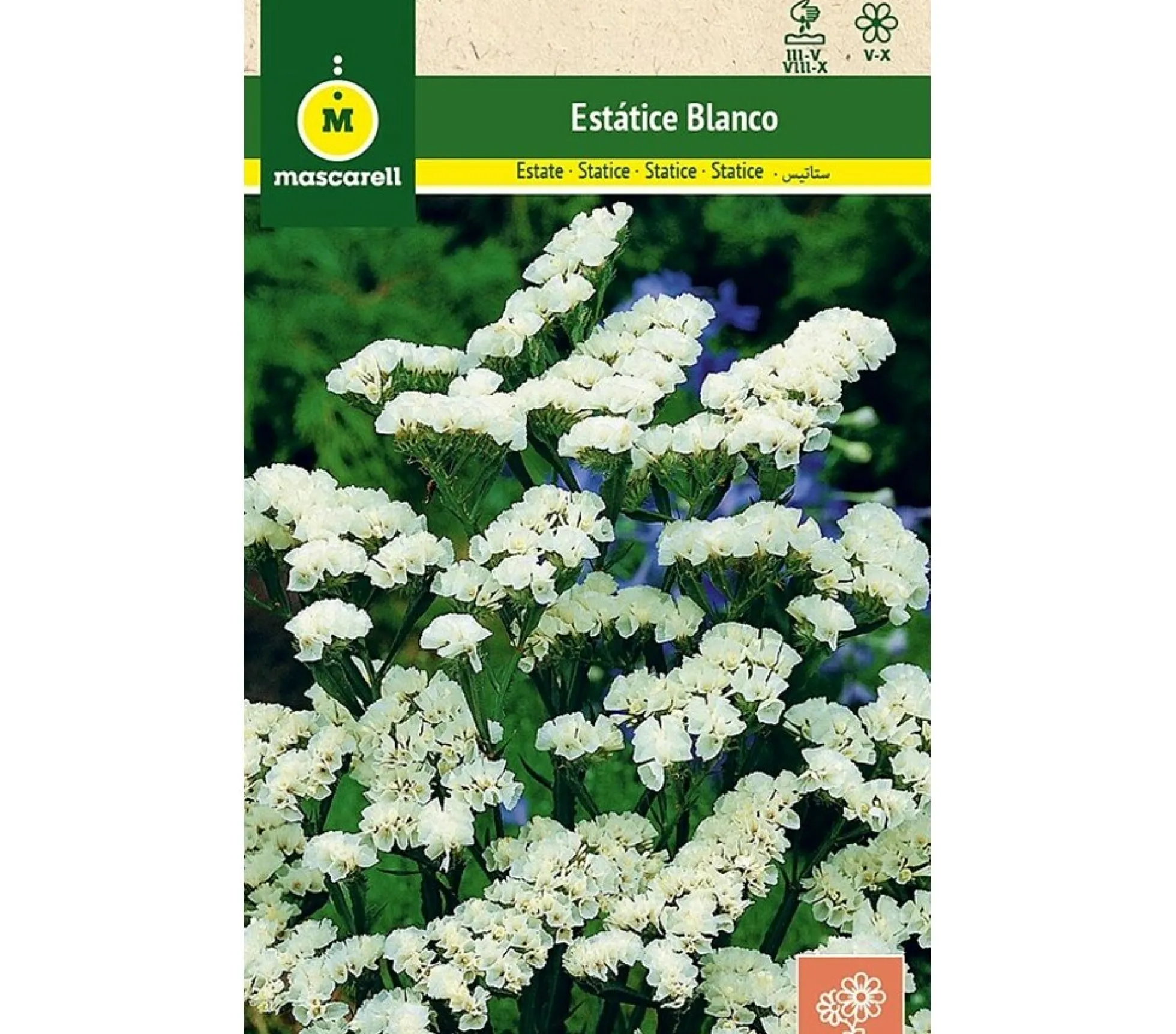 Semillas Estatice Sinuata Blanco