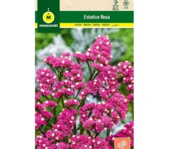 Semillas Estatice Sinuata Rosa