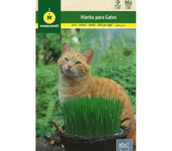 Semillas Hierba Para Gatos