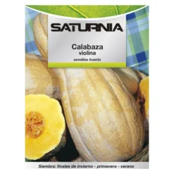Semillas Huerto Calabaza Violina