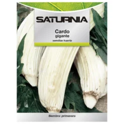 Semillas Huerto Cardo