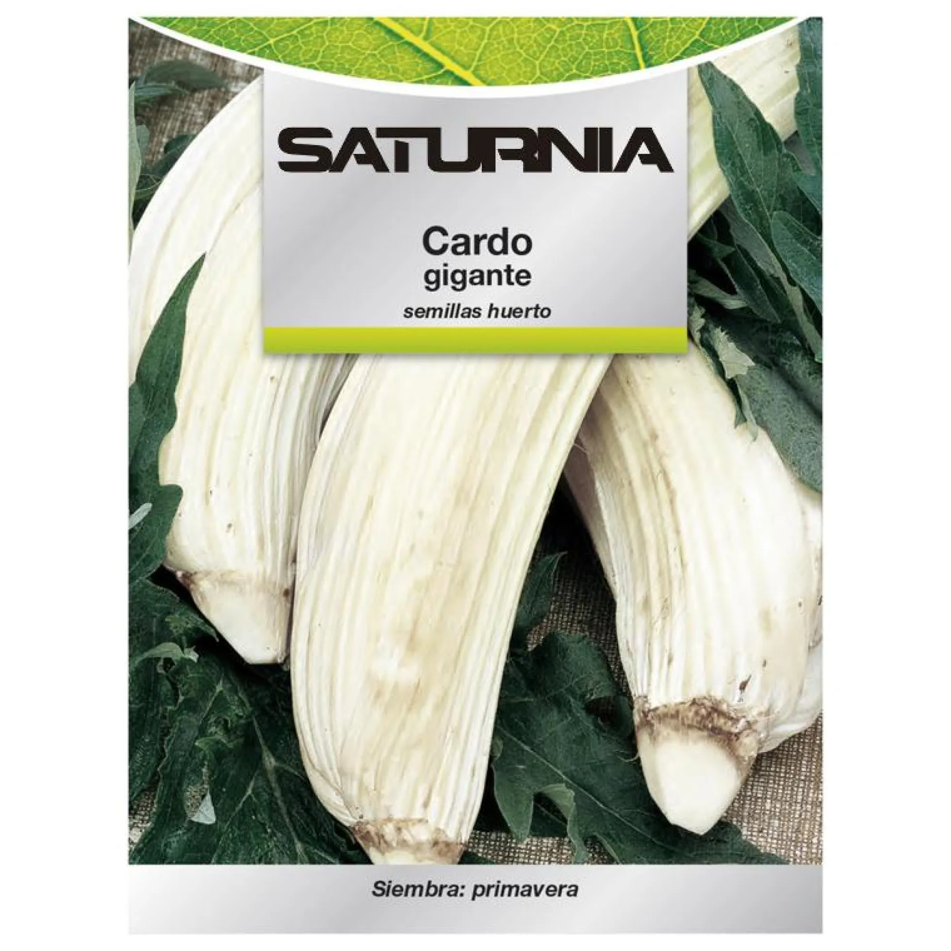 Semillas Huerto Cardo
