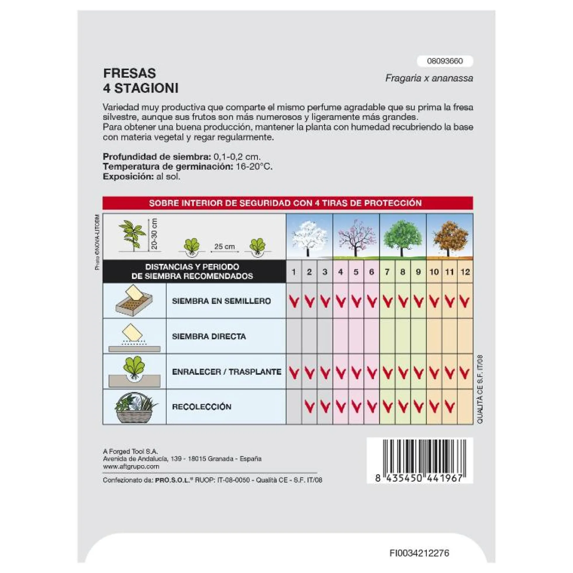 Semillas Huerto Fresas