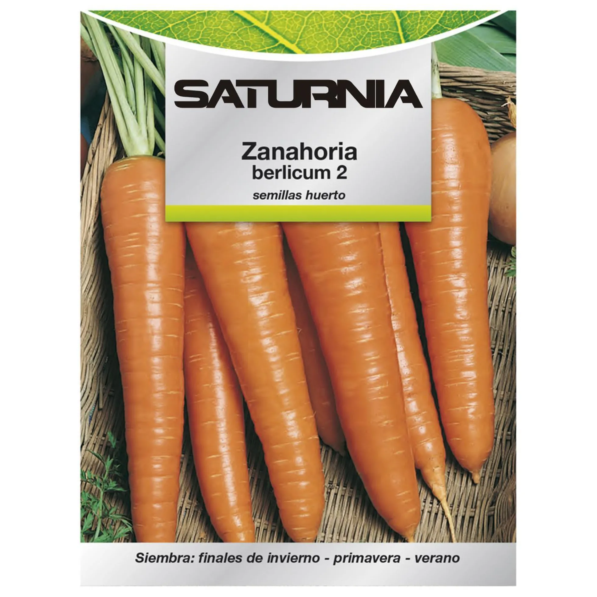 Semillas Huerto Zanahoria Berlicum