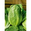 Semillas Lechuga (maravilla De Verano) 6gm