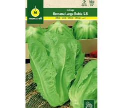 Semillas Lechuga Romana Larga Rubia