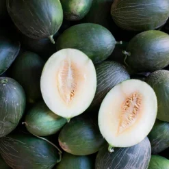 Semillas Melón Manuel António Ecológicas