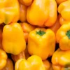 Semillas Pimiento Amarillo Quadrato D ́asti Ecológicas Biodinámicas Demeter