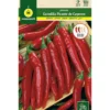 Semillas Pimiento Cayenne Picante