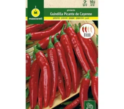 Semillas Pimiento Cayenne Picante