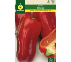 Semillas Pimiento Manchego (infantes)