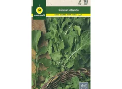 Semillas Rúcula Cultivada