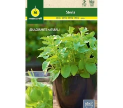 Semillas Stevia