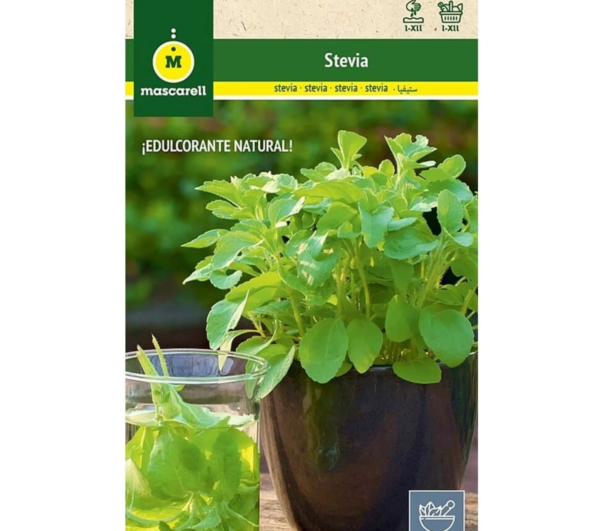 Semillas Stevia