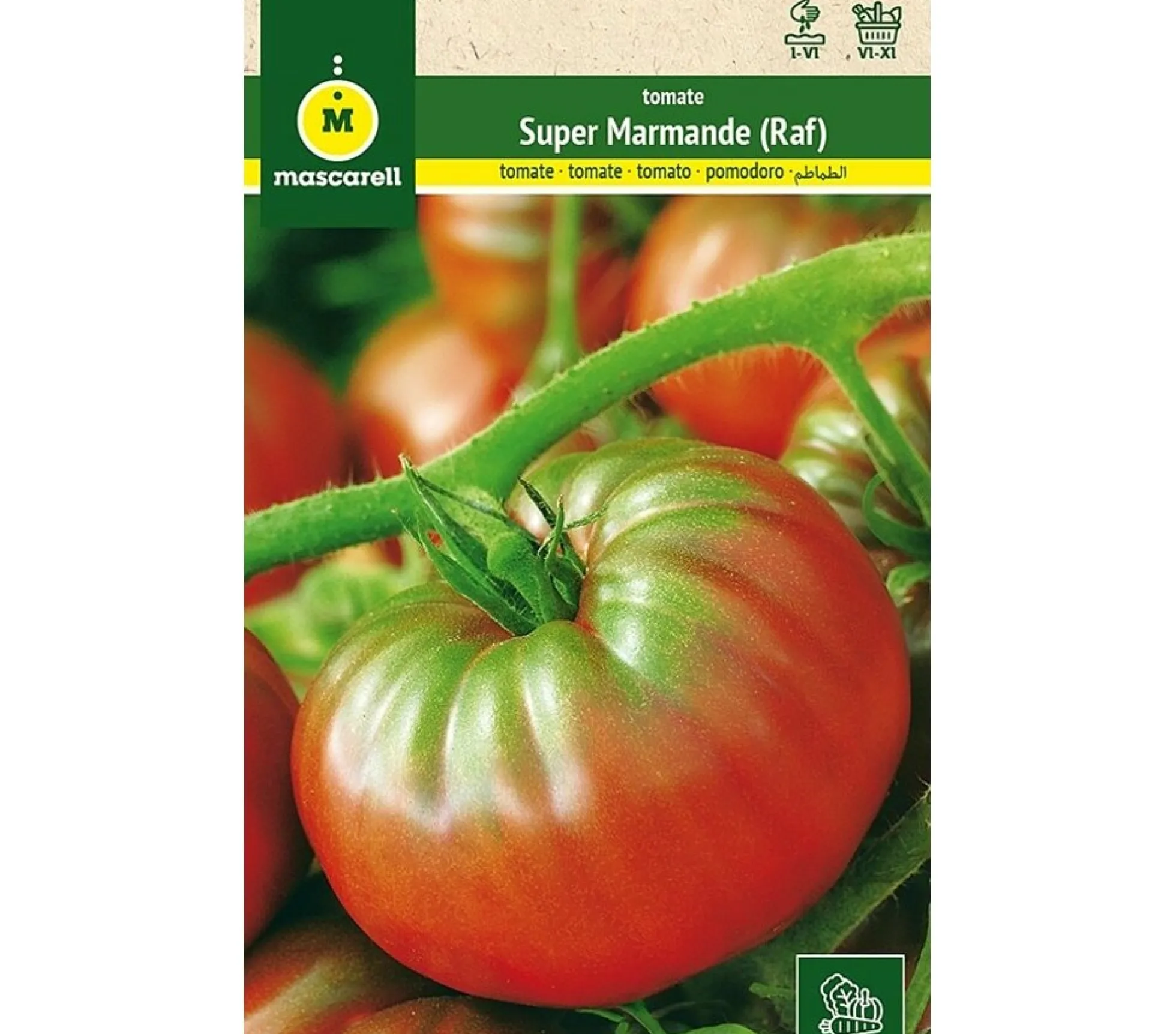 Semillas Tomate Raf (super Marmande)