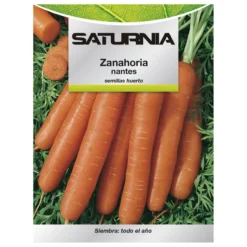 Semillas Zanahoria Nantes Temprana (7 Gramos). Semillas Verduras, Horticultura, Horticola, Semillas Huerto.