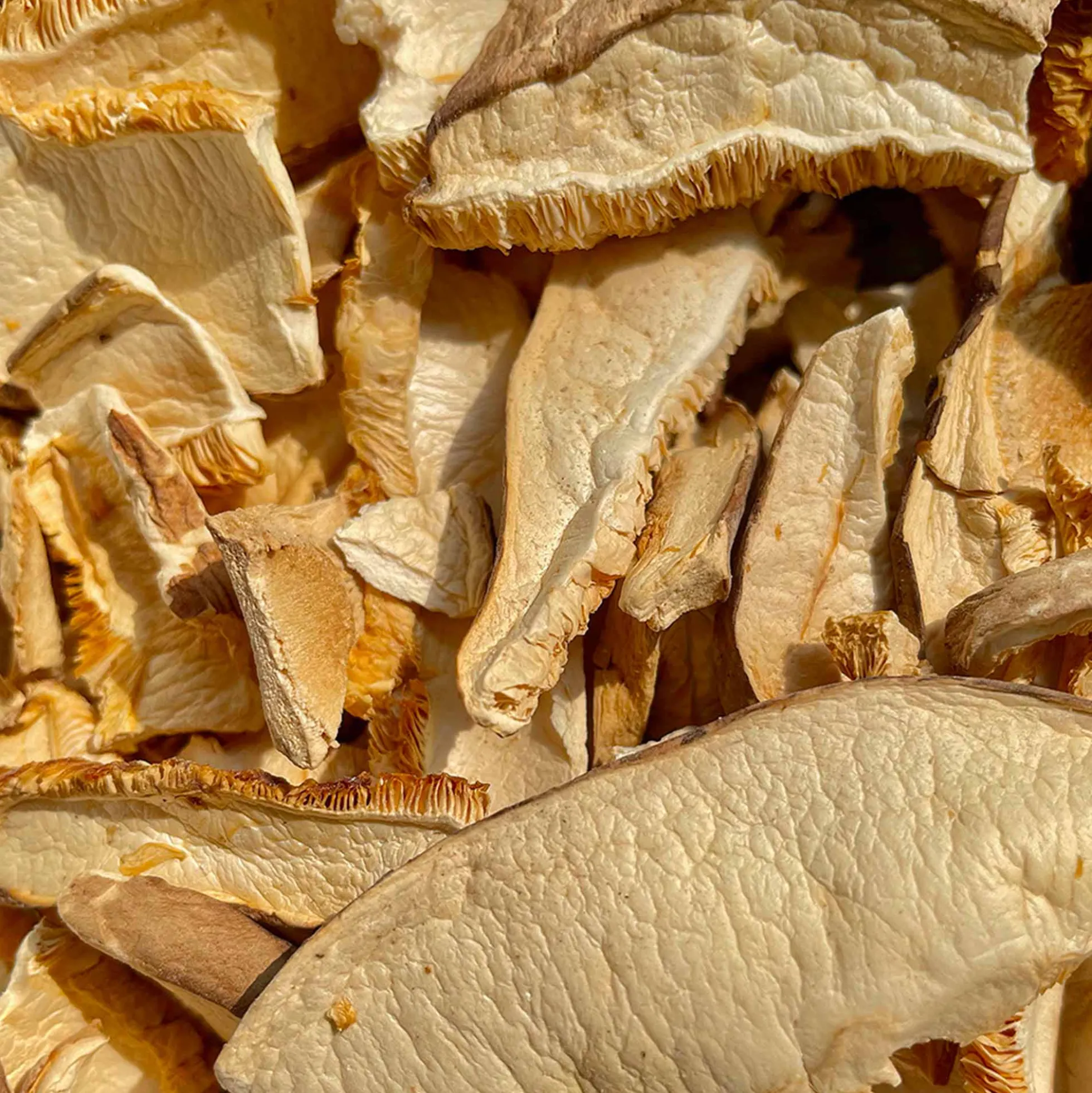 Setas Shiitake En Laminas Bio 20g
