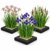 Set Isla De Plantas Estanque 3 Piezas - Set Completo Con 12 Plantas